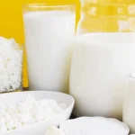 Het essentiële duo voor de spijsvertering: hoe probiotica en prebiotica samenwerken het-essentiele-duo-voor-de-spijsvertering-hoe-probiotica-en-prebiotica.webp.webp